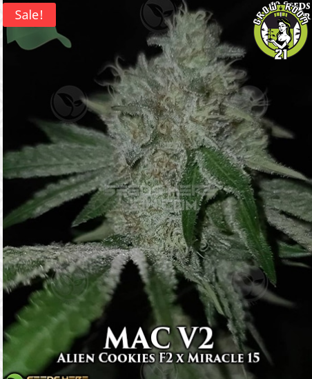 Bild von MAC V2