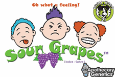 Bild von Sour Grapes