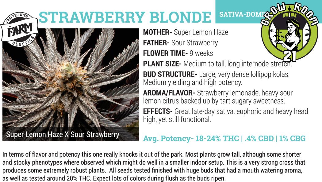 Bild von Strawberry Blonde