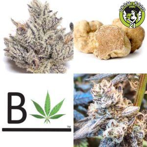 Bild von Love White Truffle