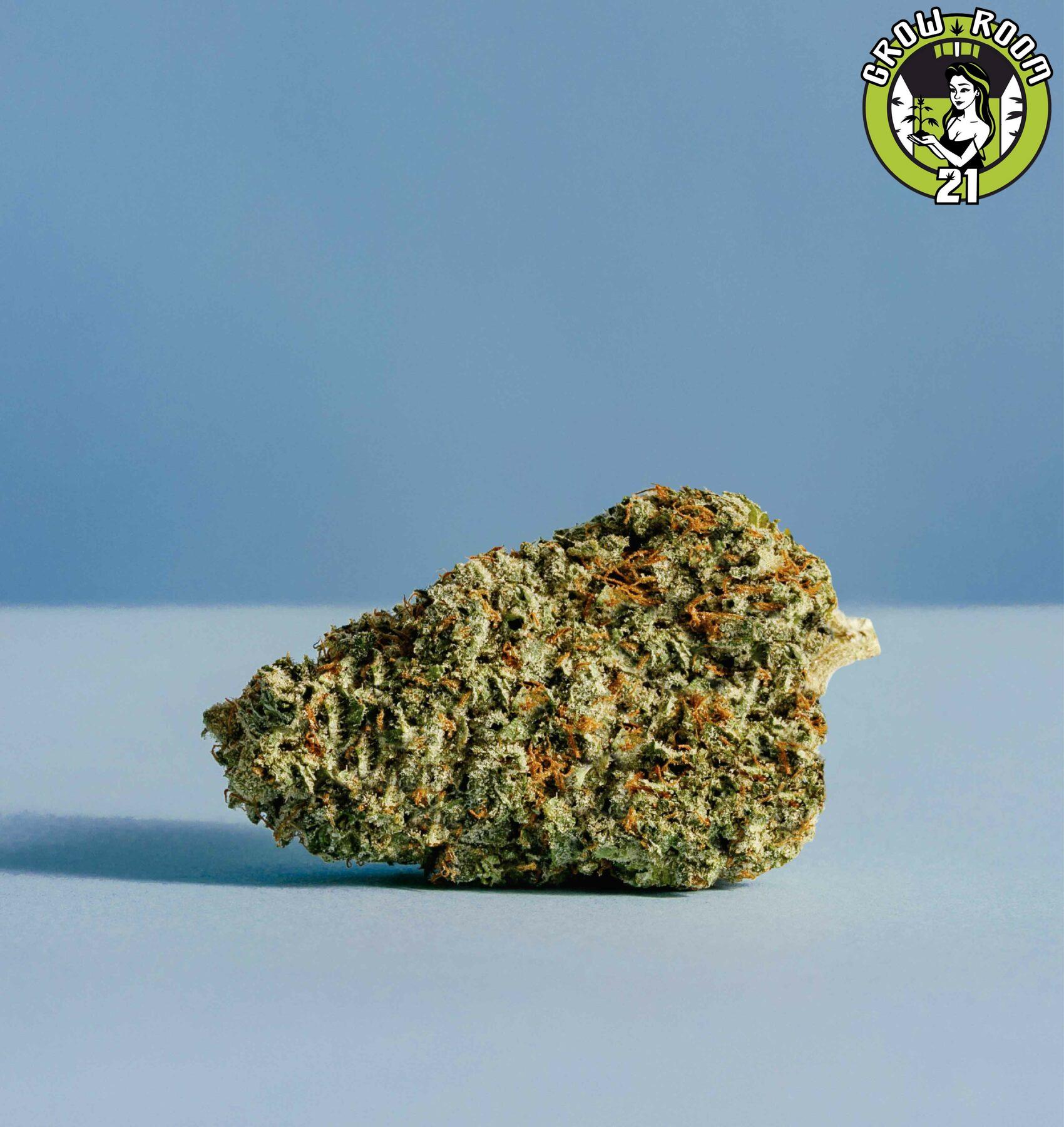 Bild von Blueberry Funk