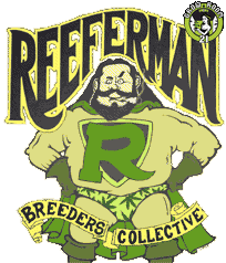 Bild von Haze bros original Haze