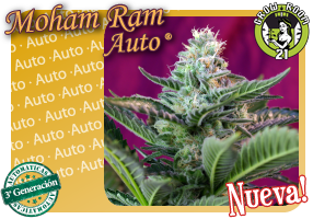 Bild von Mohan Ram Auto