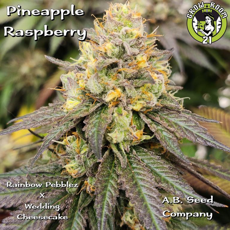 Bild von Pineapple Raspberry