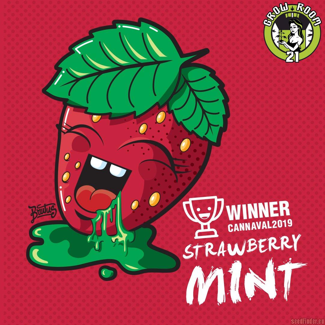 Bild von Strawberry Mint