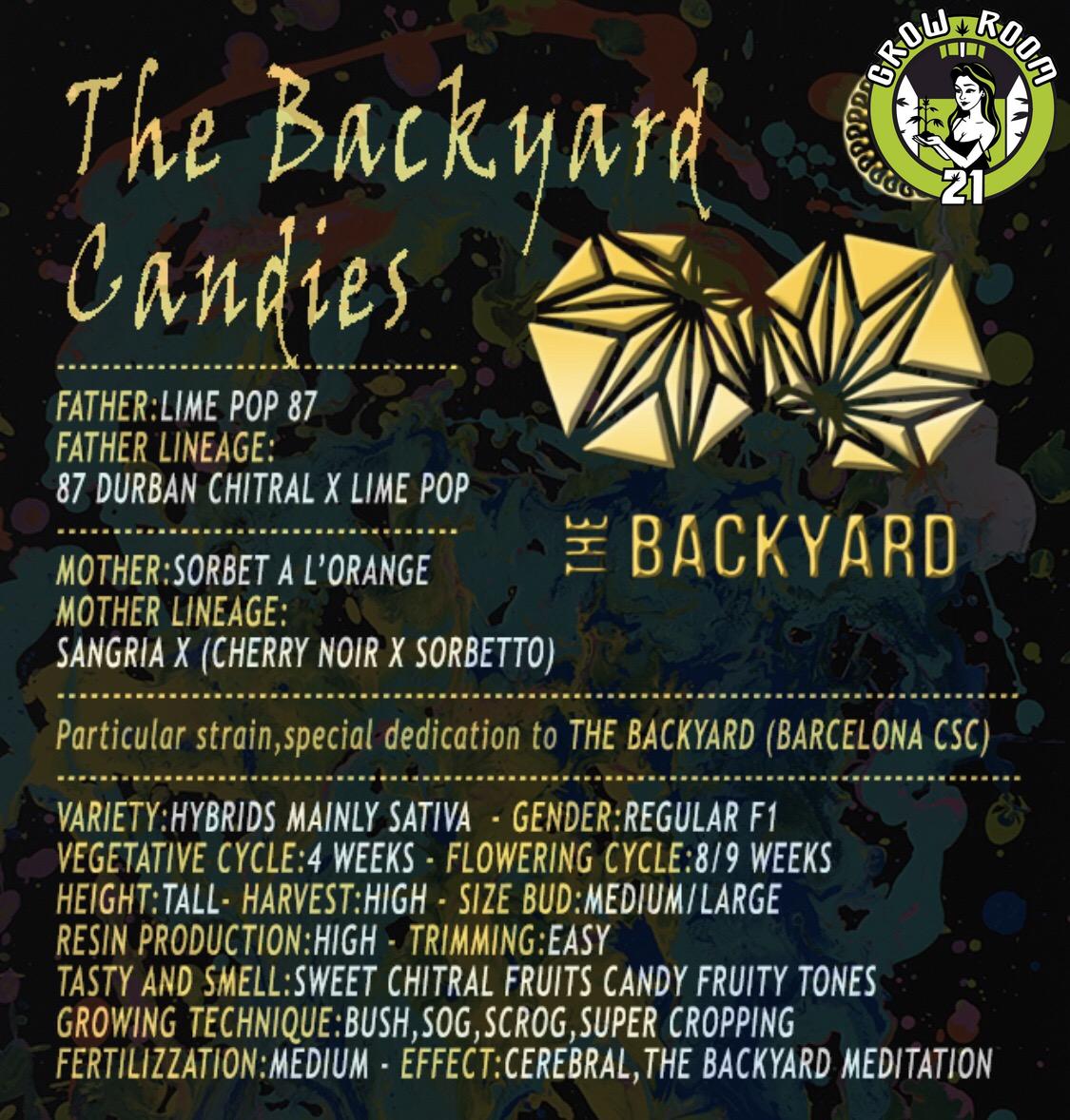 Bild von The Backyard Candies