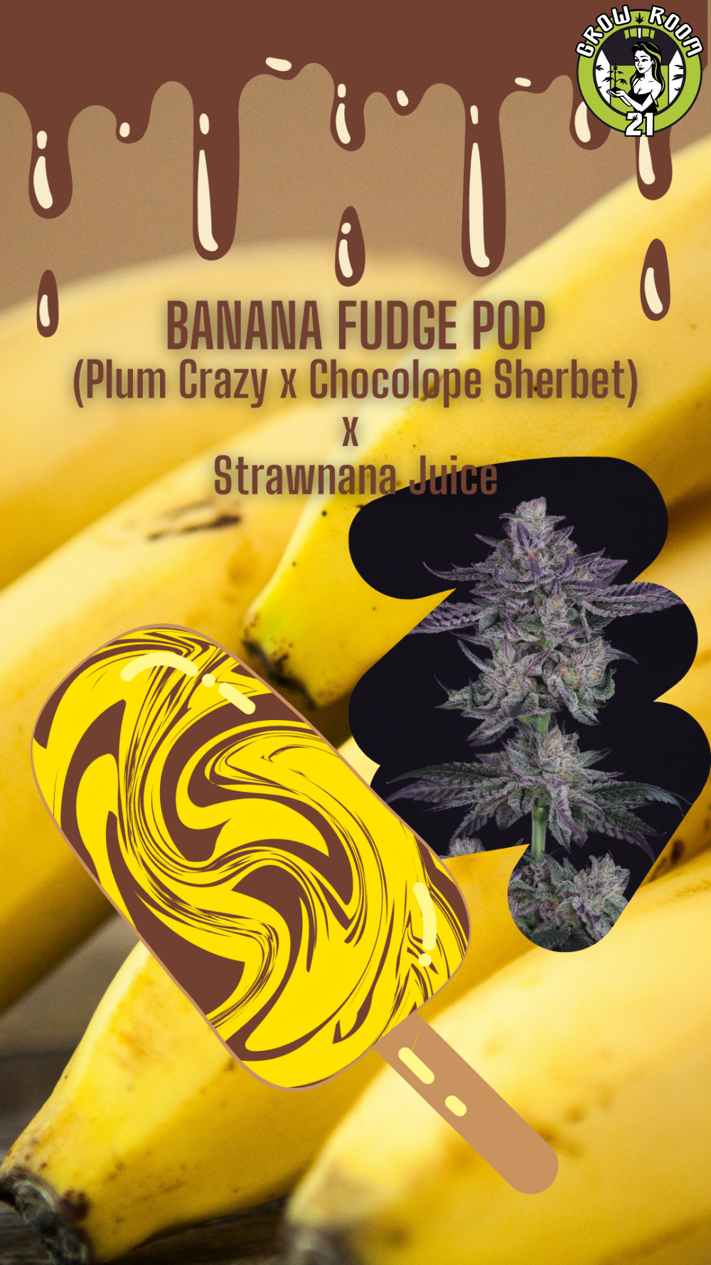 Bild von Banana Fudge Pop