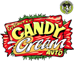 Bild von Candy Cream Auto