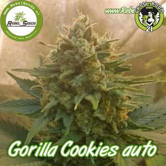 Bild von Gorilla Cookies