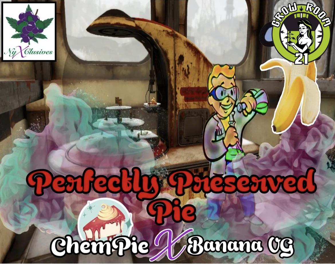 Bild von Perfectly Preserved Pie