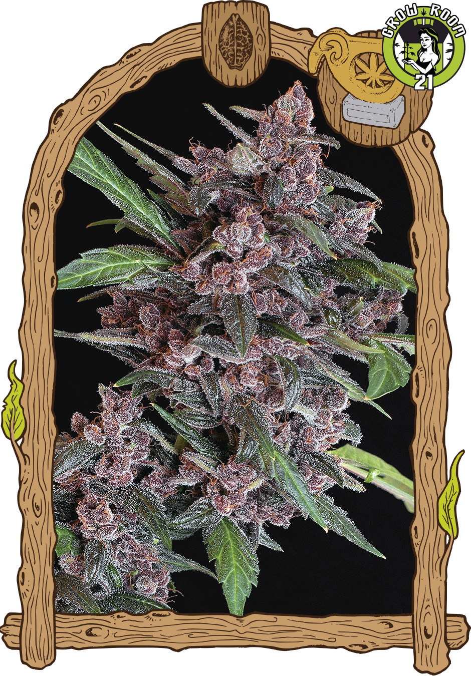 Bild von Black Lemon Auto