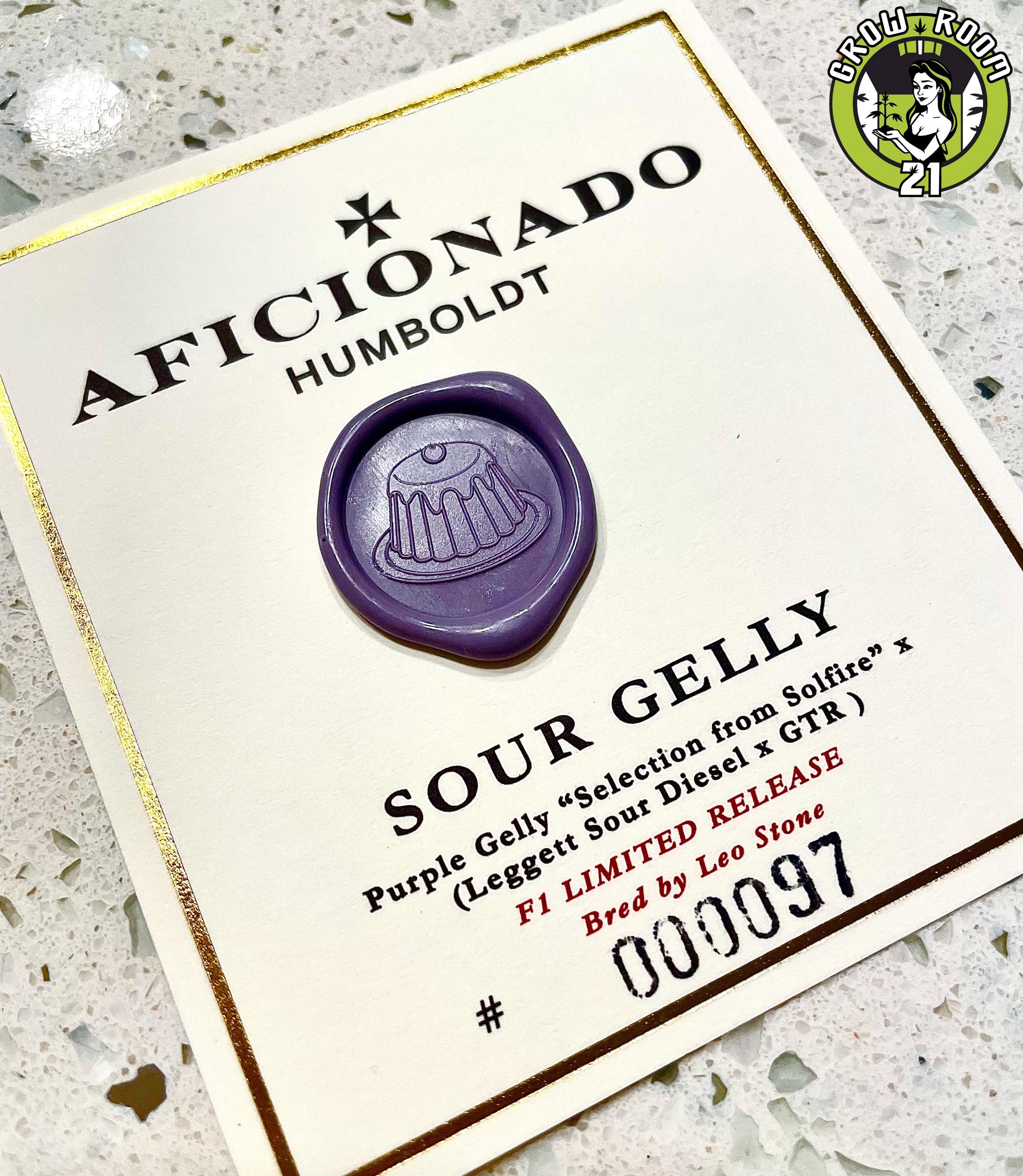 Bild von Sour Gelly