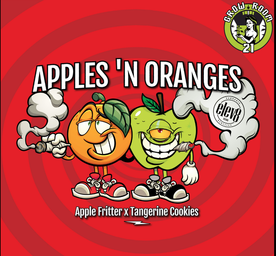 Bild von Apples n Oranges