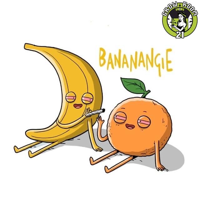 Bild von Bananangie