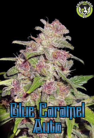 Bild von Blue Caramel Auto
