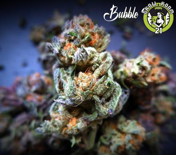 Bild von Bubble Runtz