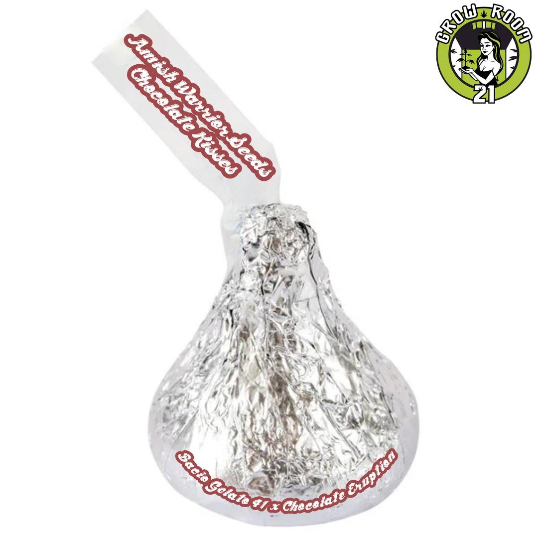 Bild von Chocolate Kisses