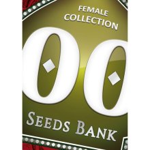 00 Seeds - Female Collection #2 - feminised