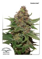 Strawberry Cough Feminised Seeds