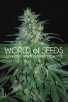 S. African Kwazulu Feminised Seeds
