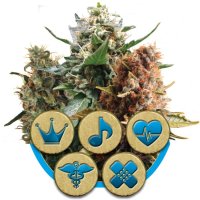 (Bild für) Medical Mix CBD Feminised Seeds