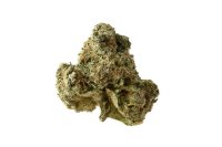 AK OG Kush Feminised Seeds