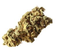Pineapple Kush Feminised Seeds