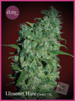 Llimonet Haze Classic THC Feminised Seeds