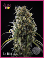 La Rica Classic CBD Feminised Seeds