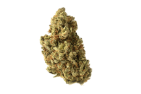 Amazing Haze Feminised Seeds