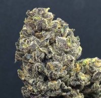 Wedding Cake Feminised Seeds
