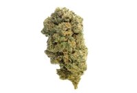 Quicksilver Feminised Seeds