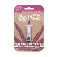 Sol Mate Auto Feminised Seeds (Bild für) Sol Mate Auto Feminised Seeds