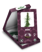 Michka Feminised Seeds