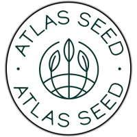 GMO Fast Feminised Seeds