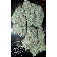 Elite Star Killer Regular Seeds