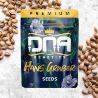Hans Gruber Feminised Seeds