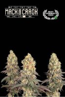 Mack & Crack Feminised Seeds