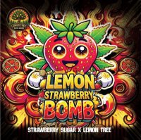 Lemon Strawberry Bomb Feminisiert Saatgut