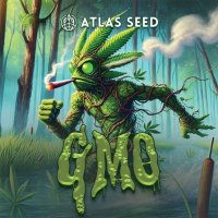 GMO Auto Feminisiert Saatgut