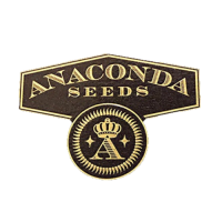 Anaconda Seeds