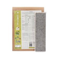 biohelp – Larves de chrysope - Chrysoperla (4282-0) – Bandes en carton