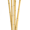 Plant poles Bamboo cane