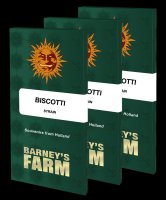 Barney's Farm - Biscotti - feminisiert