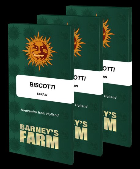Barney's Farm - Biscotti - feminisiert Bild zum Schließen anclicken