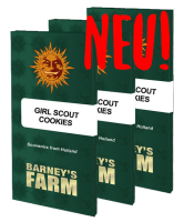 Barney's Farm - Girl Scoot Cookies - feminisiert