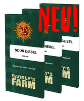 Barney's Farm - Sour Diesel - feminisiert