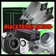 (image for) GROWBOX SET "Black Friday" GP60 250 Watt 80×80×160 cm – ANALOG