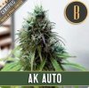 Blimburn Seeds - Auto AK - feminisiert