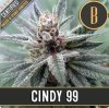 Blimburn Seeds - Cindy 99 - feminised